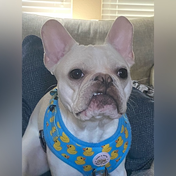 Meet your Posher, Beth - Picture 6 of 11